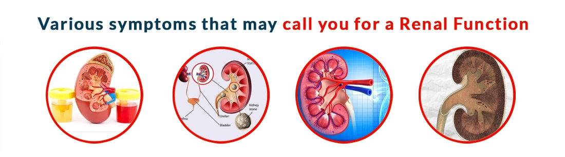 Various symptoms that may call you for a Renal Function test